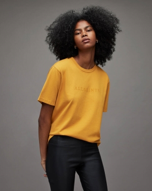 Ochre Gold Allsaints Pippa Boyfriend Embroidered T Shirt | WM192X-8104