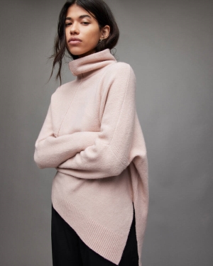 Rose Pink Allsaints Lock Roll Neck Jumper | WK076W-4183